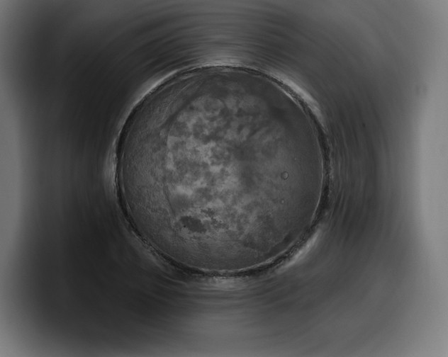 X0000100500933200806131433