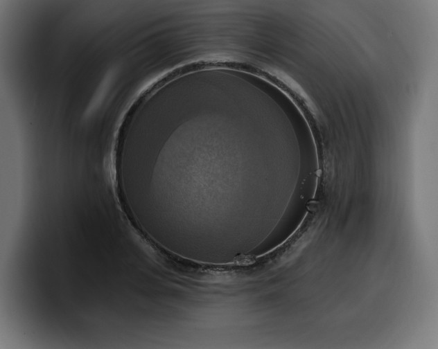 X0000100500935200806131433