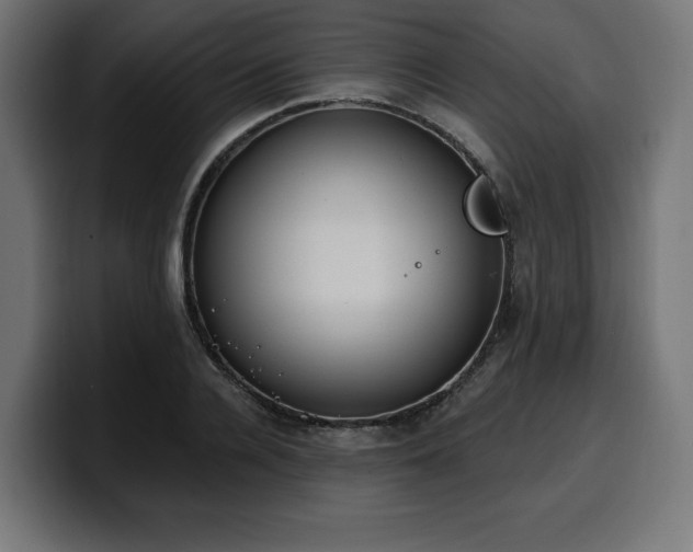 X0000100500936200806131433