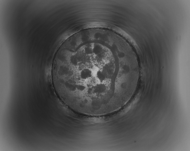 X0000100500937200806131433