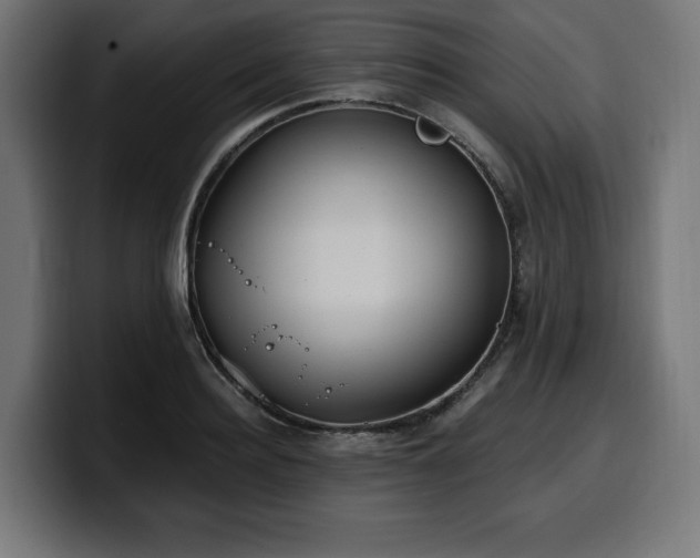 X0000100500940200806131433