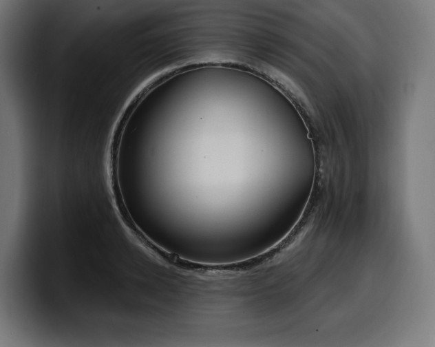 X0000100500942200806131433