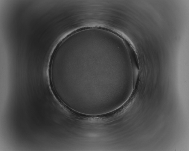 X0000100500943200806131433