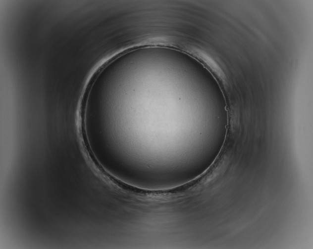 X0000100500944200806131433