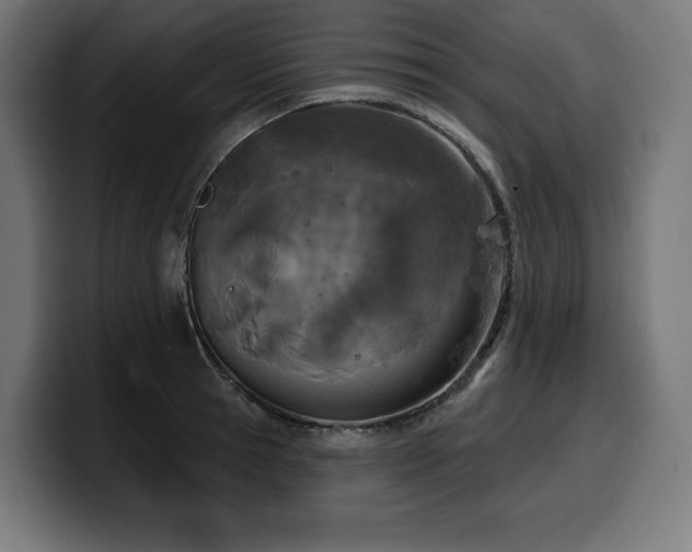 X0000100500945200806131433