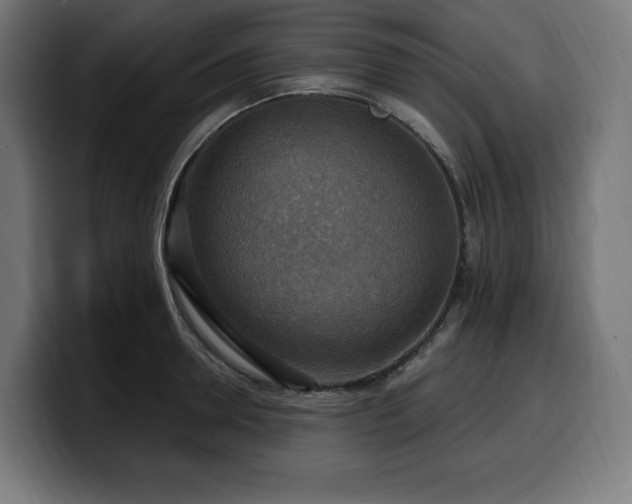 X0000100500946200806131433