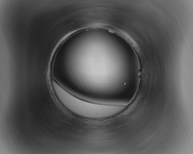 X0000100500948200806131434