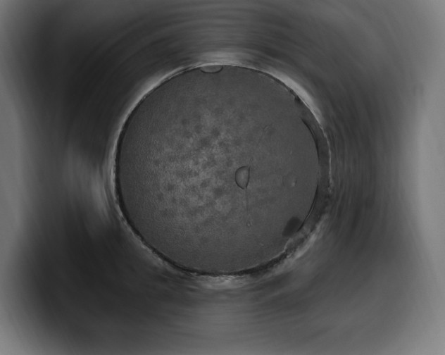 X0000100500949200806131434