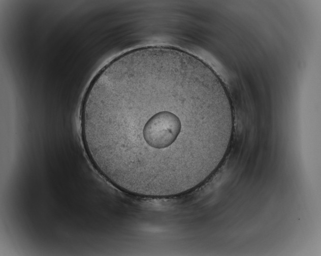 X0000100500950200806131434