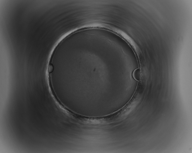 X0000100500951200806131434