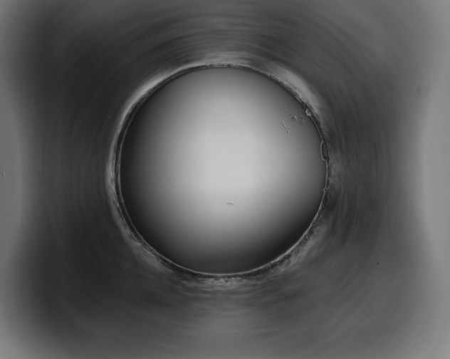 X0000100500952200806131434