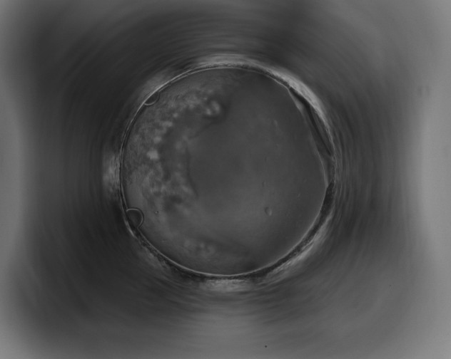 X0000100500953200806131434