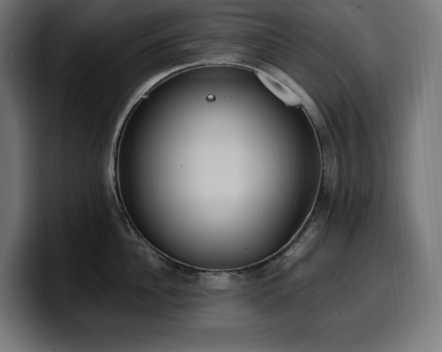 X0000100500956200806131434