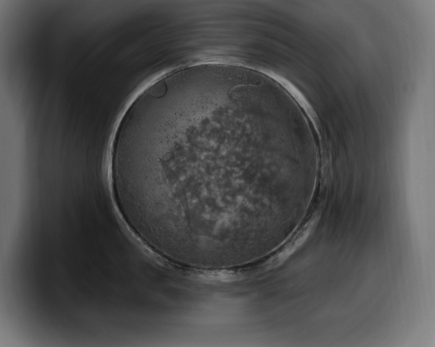 X0000100500957200806131434