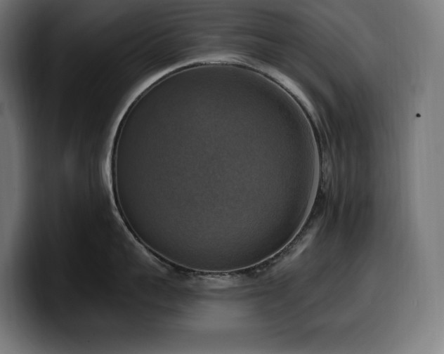 X0000100500959200806131434