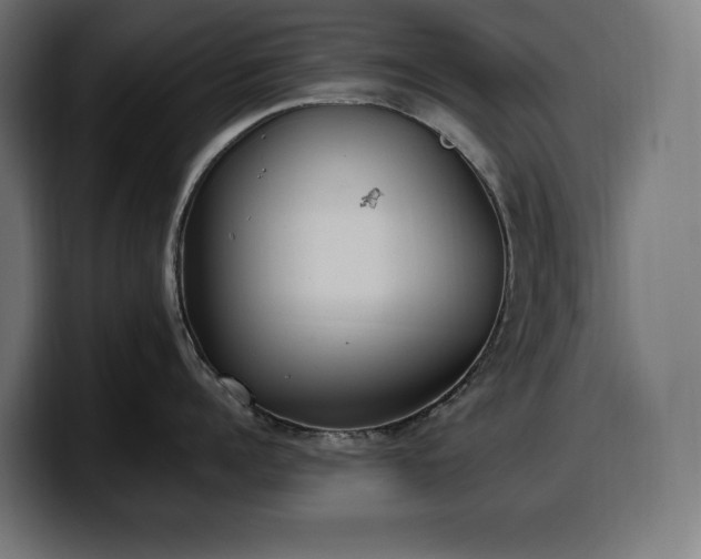 X0000100500960200806131434