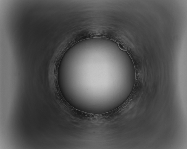 X0000100500961200806131433