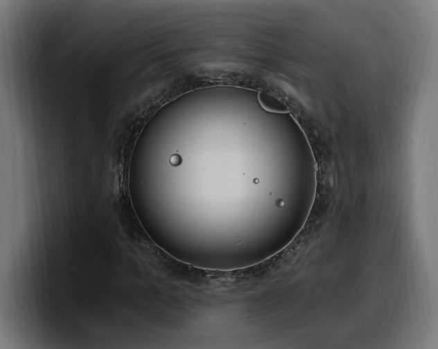 X0000100500965200806131433