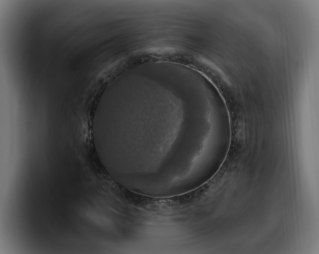 X0000100500966200806131433