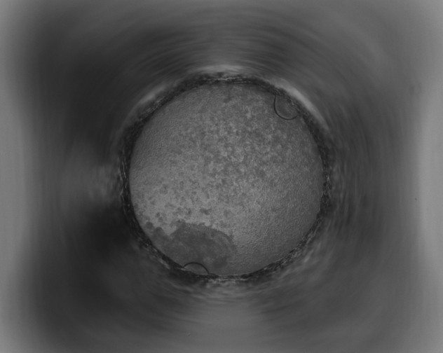 X0000100500967200806131433