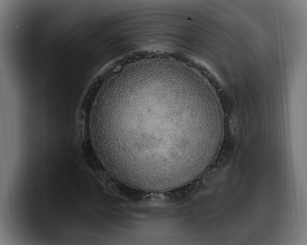 X0000100500968200806131433