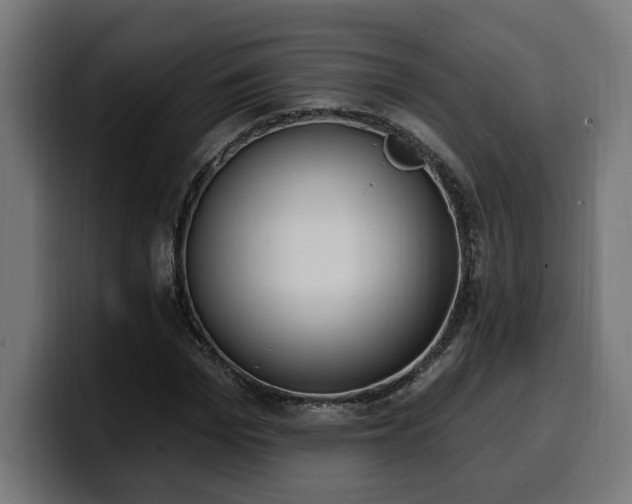 X0000100500969200806131433