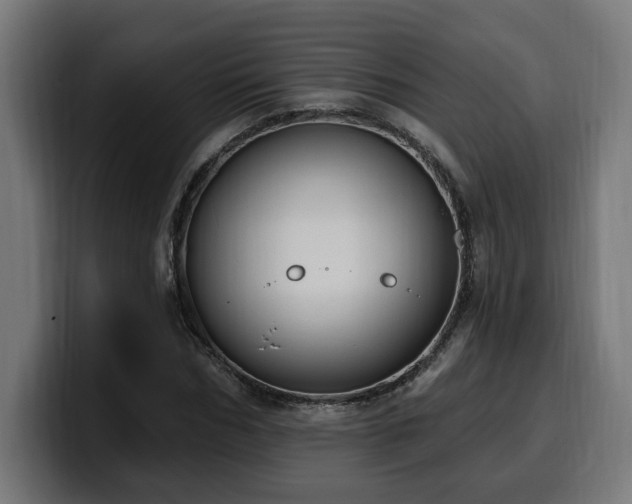 X0000100500970200806131433