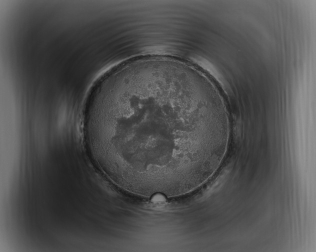 X0000100500971200806131433