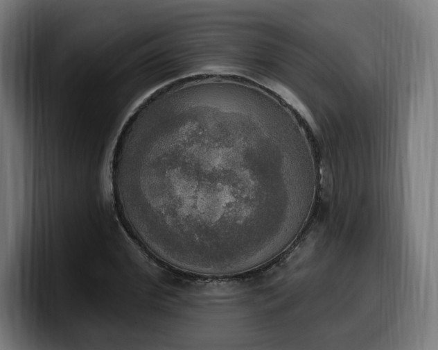 X0000100500972200806131433