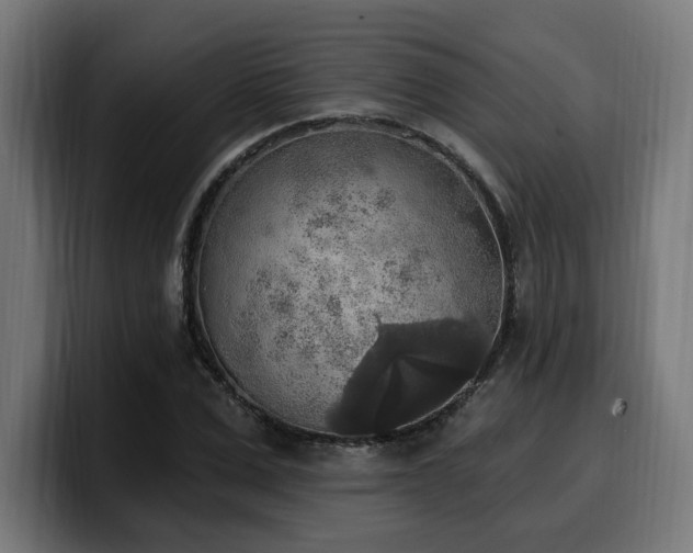 X0000100500975200806131433