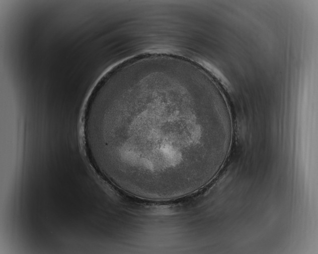 X0000100500976200806131433