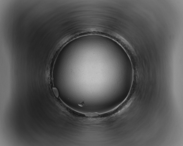 X0000100500977200806131433