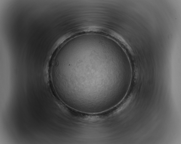 X0000100500978200806131433