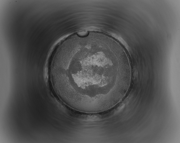 X0000100500979200806131433