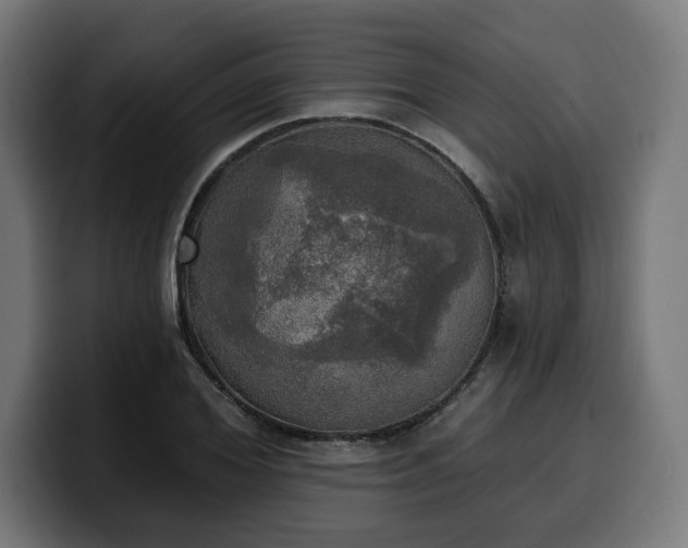 X0000100500980200806131433