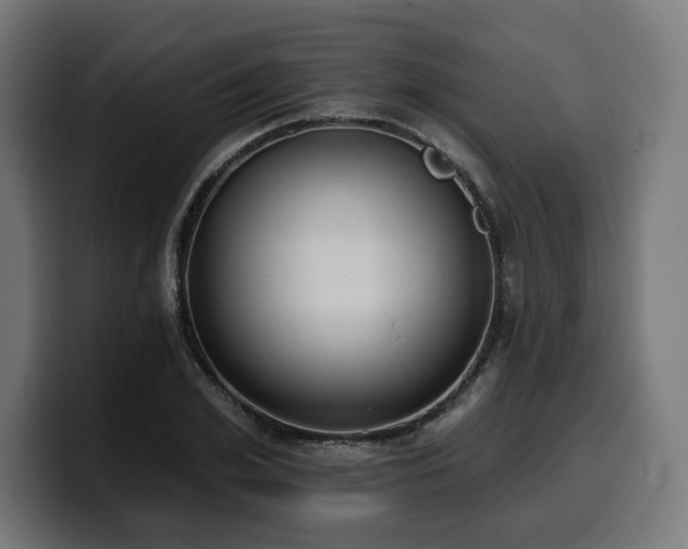 X0000100500981200806131433