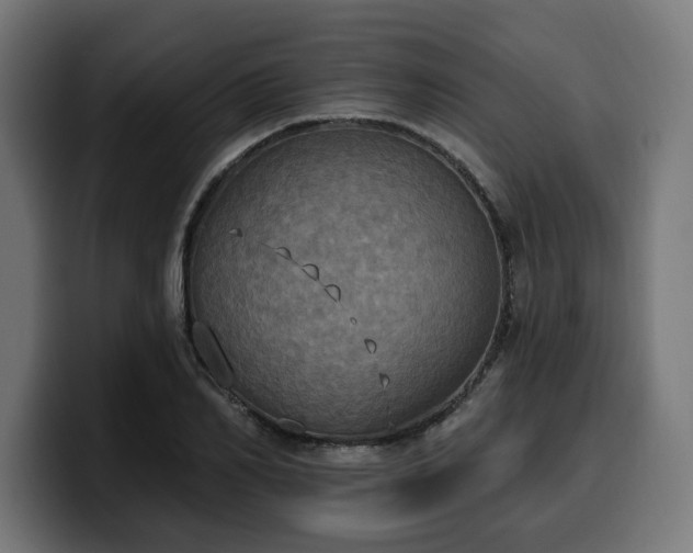 X0000100500982200806131433