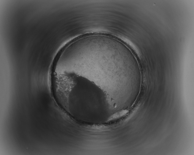 X0000100500983200806131433