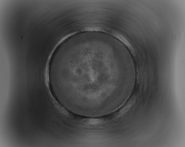 X0000100500984200806131433