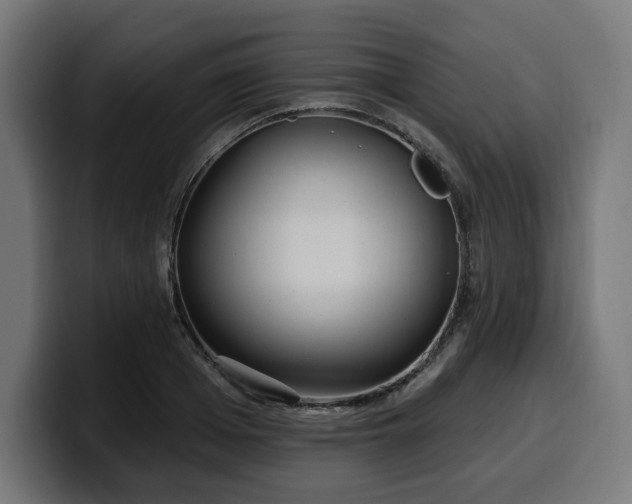 X0000100500985200806131433