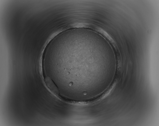 X0000100500986200806131433