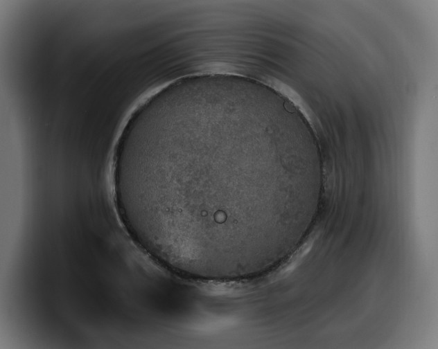 X0000100500987200806131433