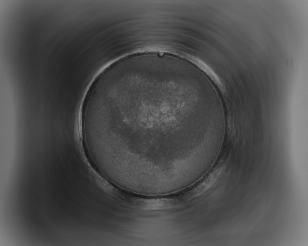 X0000100500988200806131433