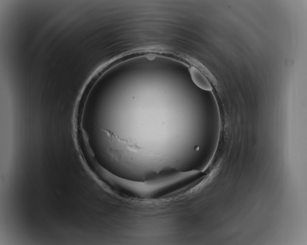 X0000100500989200806131433