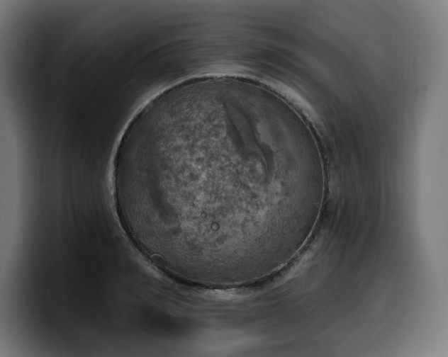 X0000100500990200806131433