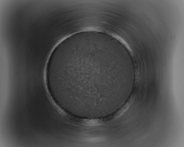 X0000100500991200806131433