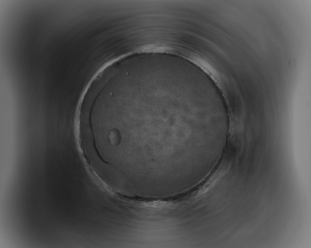 X0000100500992200806131433