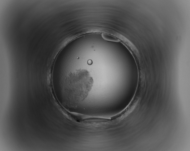 X0000100500993200806131433