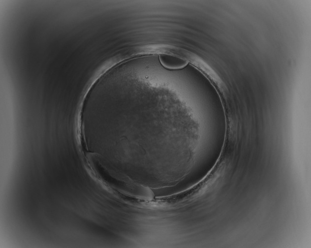 X0000100500994200806131433