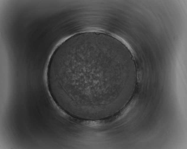 X0000100500995200806131433